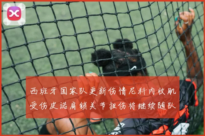 西班牙国家队更新伤情尼科内收肌受伤皮诺肩锁关节扭伤将继续随队训练